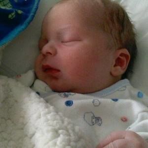 Meet your Posher, Ernest